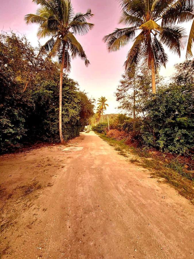 Le Nid De Bea Self-Catering Apartments La Digue Bagian luar foto