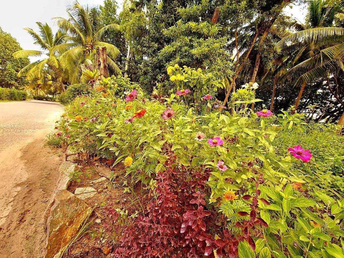 Le Nid De Bea Self-Catering Apartments La Digue Bagian luar foto